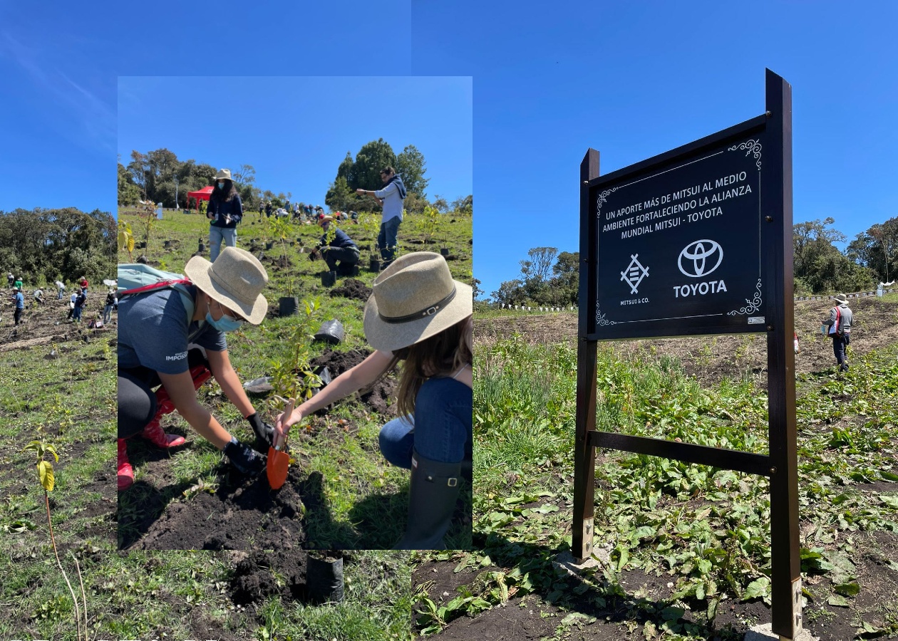 Toyota reforesta Toyota busca productos ambientalmente sostenibles