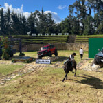 1279644173 Ford Bronco Wildtrack 2024: La Big Bronco Llega a Colombia con Todo su Poder