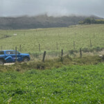 627412562 Ford Ranger XLT V6 conquista los terrenos más extremos de Colombia