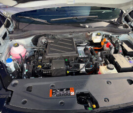 3661373196 Ford Territory Híbrida llegó a Colombia